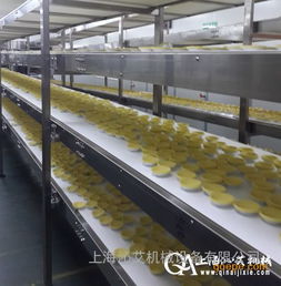 食品級(jí)皮帶輸送機(jī),食品輸送機(jī),廠(chǎng)家推薦產(chǎn)品 網(wǎng)帶輸送機(jī) 塑料網(wǎng)帶輸送和 價(jià)格 谷瀑環(huán)保
